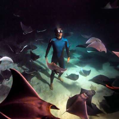 Guillaume Néry hanging with rays on the ocean floor