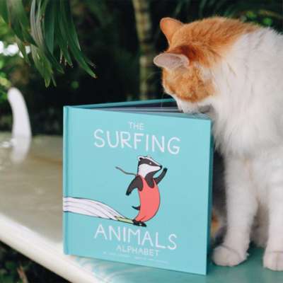 Kuli the Surfing Cat reads 'The Surfing Animals Alphabet'